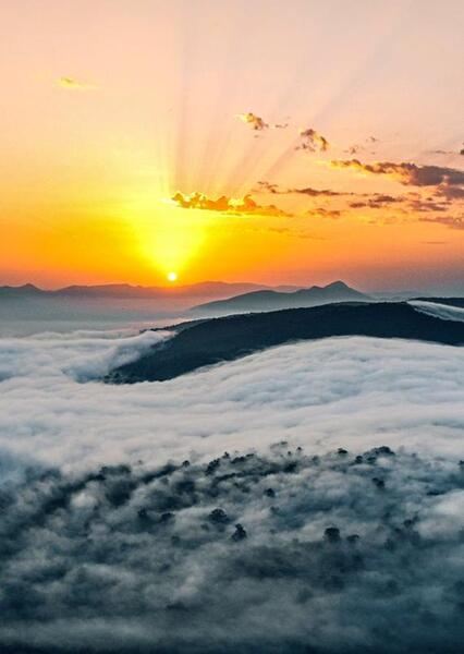 عکس از طبیعت گلستان