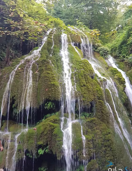 عکس از طبیعت گلستان