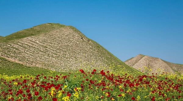 عکس از طبیعت گلستان