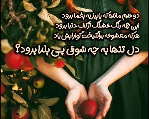عکس شب یلدای طنز