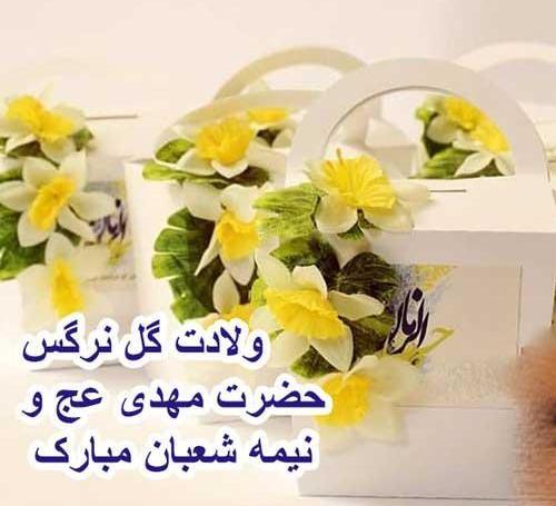 عکس ولادت حضرت قائم عجل الله تعالی فرجه