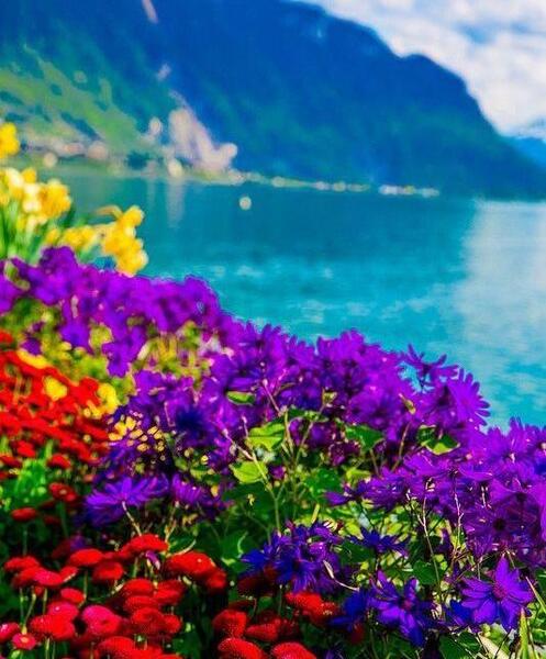عکس زیبای طبیعت اینستاگرام