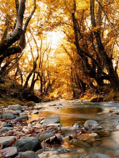 عکس زیبای طبیعت اینستاگرام