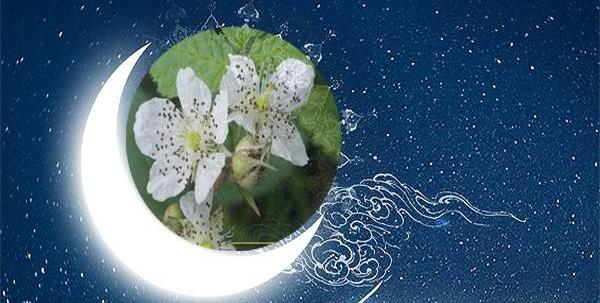 عکس عید ربیع اول