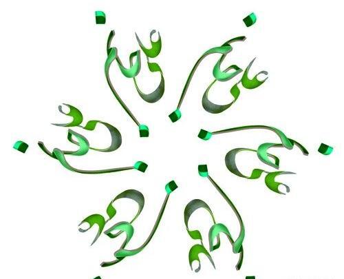 عکس نوشته علی ولی الله