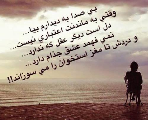 عکس نوشته شاخ مغرورانه