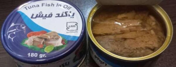 عکس تن ماهی گلکسی