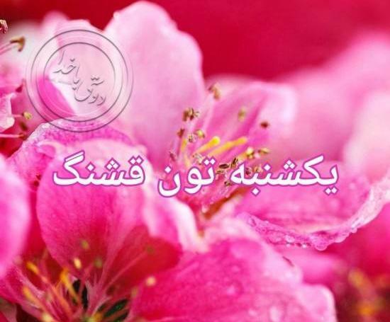 عکس روز یکشنبه صبح بخیر