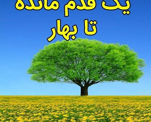 زیبا عکس پروفایل آخر سال