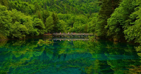 عکس نوشته زیبا در مورد طبیعت