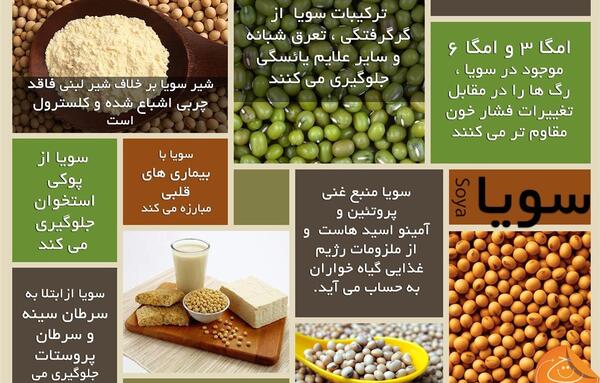 عکس اجیل سویا