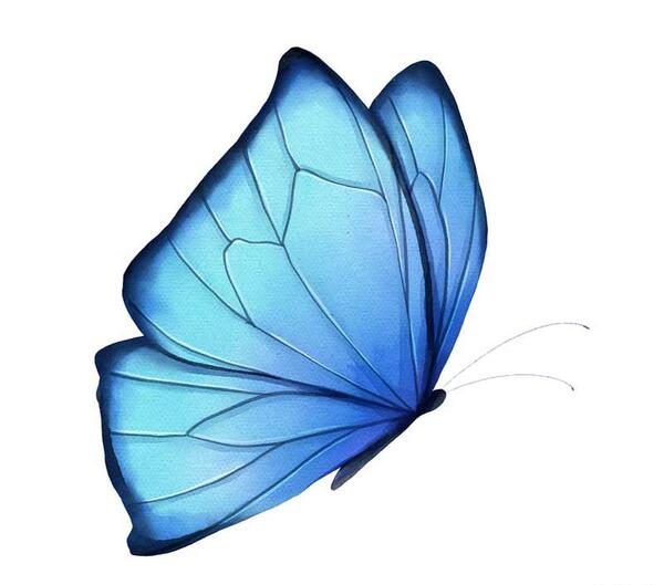 عکس نقاشی زیبا پروانه