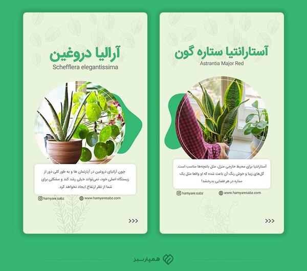 ایده برای عکس استوری