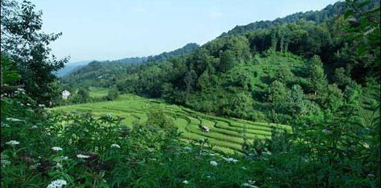 عکس منظره های زیبای شمال ایران