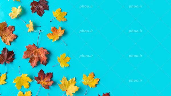 عکس آبی فیروزه