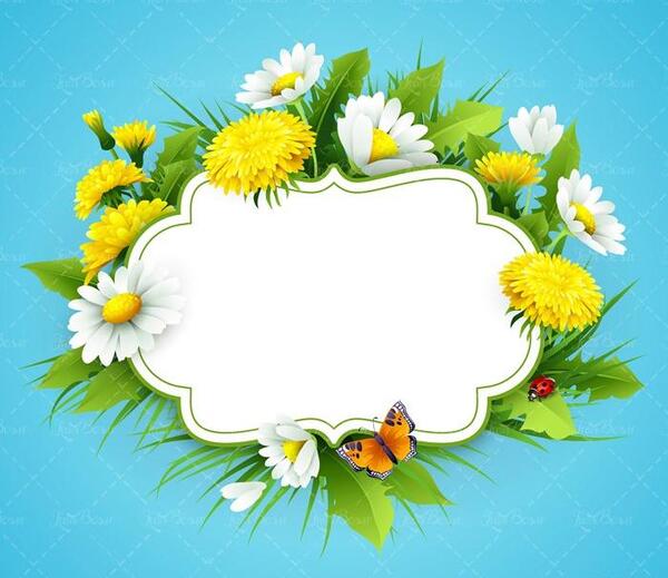 عکس آبی فیروزه