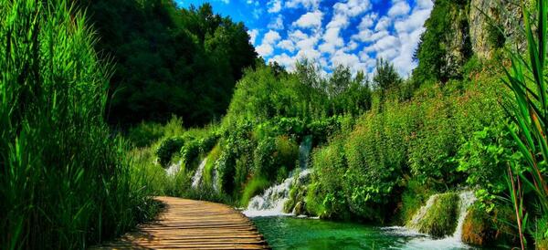 عکس طبیعت دانلود