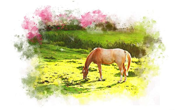 عکس طرح نقاشی اسب