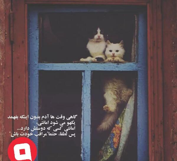 عکس نوشته گاهی وقت ها