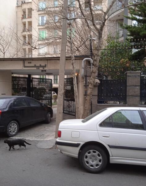 عکس بیتا صفرزاده