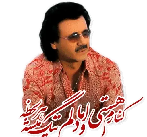 عکسهای معین خواننده
