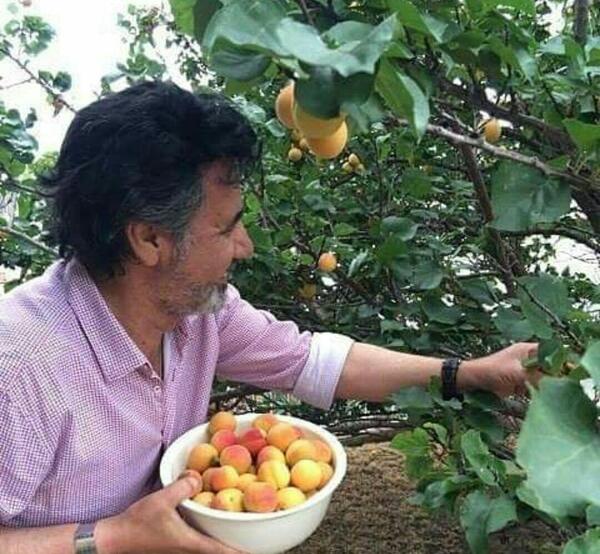 عکسهای معین خواننده