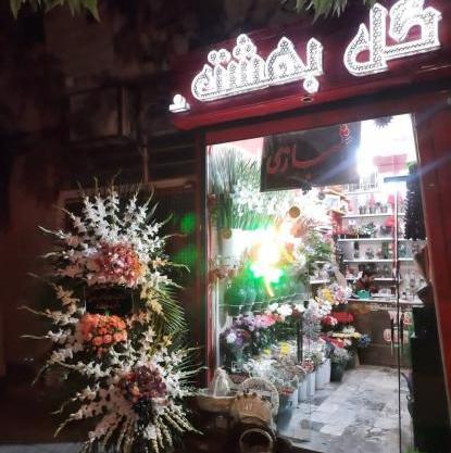 عکس کل بهشت