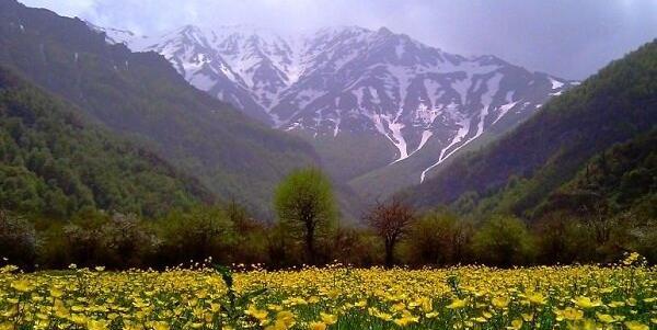 عکس کل بهشت