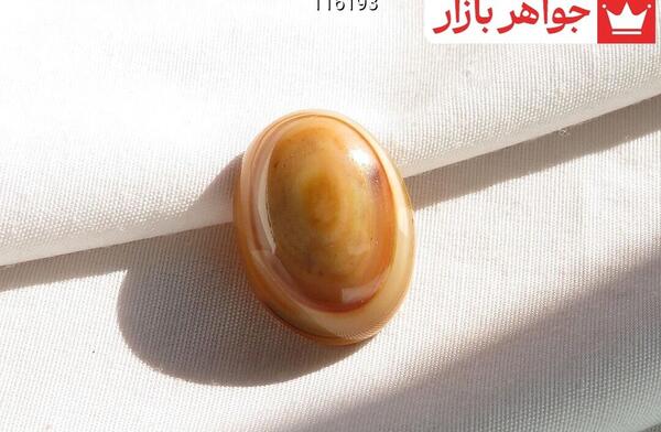 عکس نگین سلیمانی