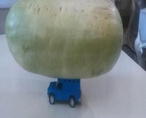 عکس خنده دار نیسان