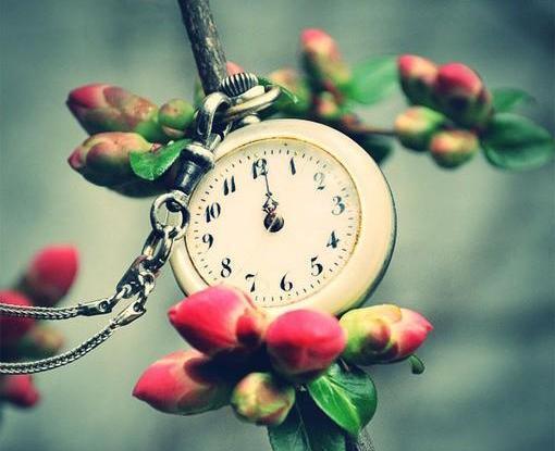 عکس های خاص و هنری
