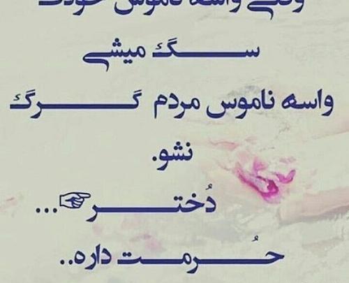 عکس پروفایل نگه داشتن حرمت