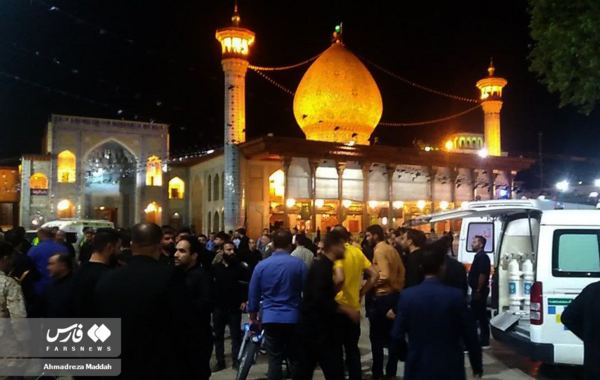 عکس ضارب شاهچراغ