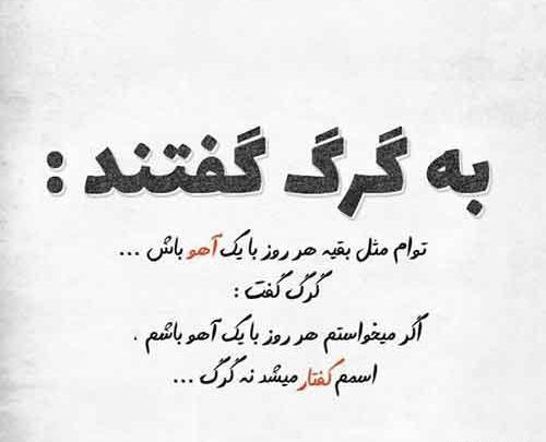 عکس های گرگ غمگین