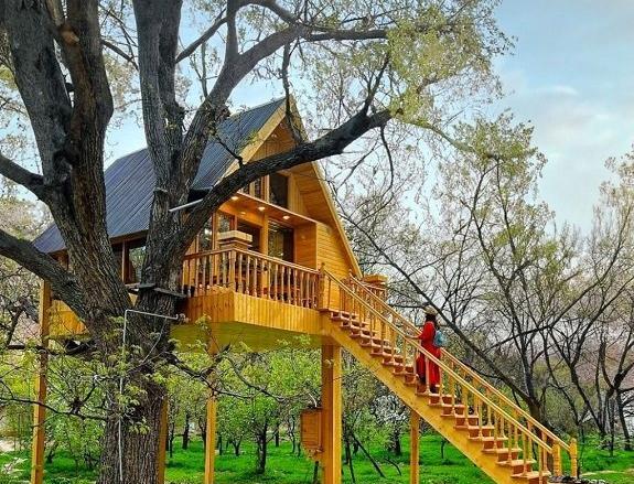 عکس کلبه جنگلی عاشقانه