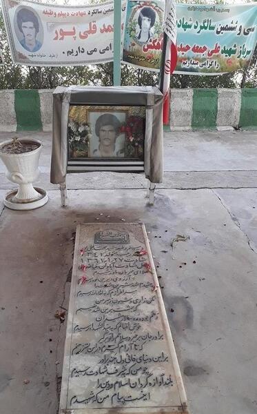 عکس محمد قلی پور