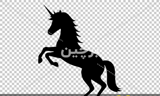 چاپ عکس اسب تک شاخ