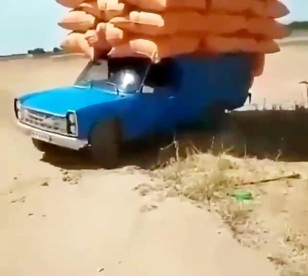 عکس نیسان آبی وحشی