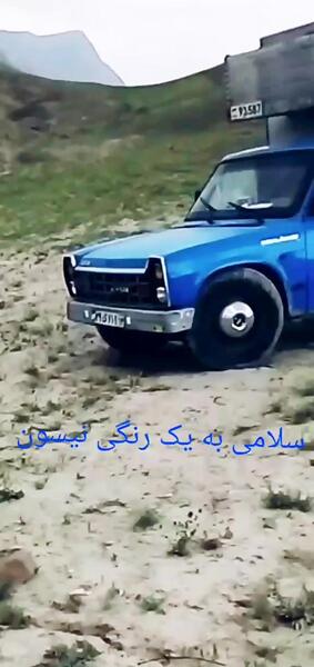 عکس نیسان آبی وحشی