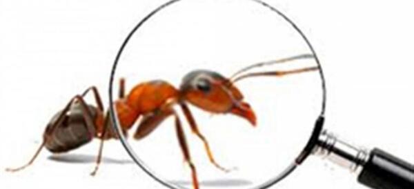 عکس ذره بین با کیفیت بالا