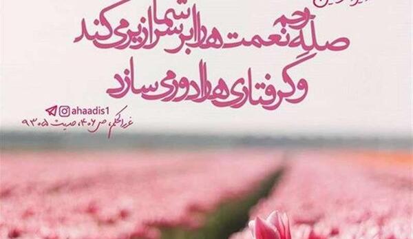 عکس در مورد صله رحم