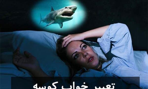عکس کوسه برای پروفایل