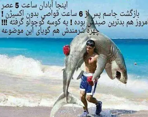 عکس کوسه برای پروفایل