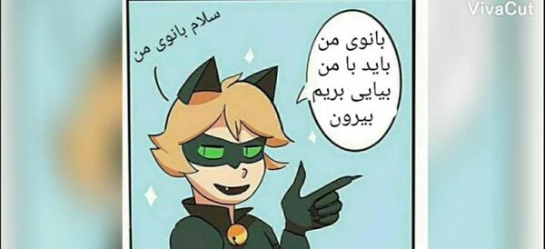 عکس لیدی باگ و کت نوار کمیک