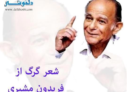 عکس نوشته شعر گرگ فریدون مشیری
