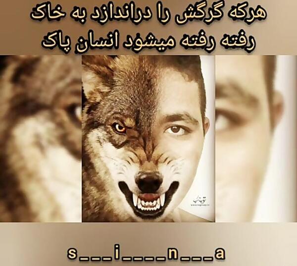 عکس نوشته شعر گرگ فریدون مشیری