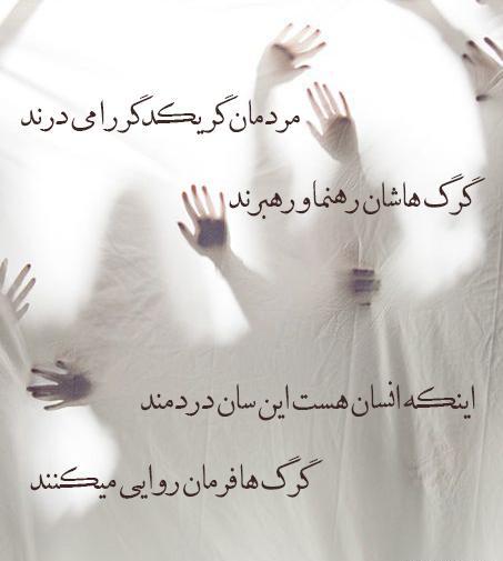 عکس نوشته شعر گرگ فریدون مشیری
