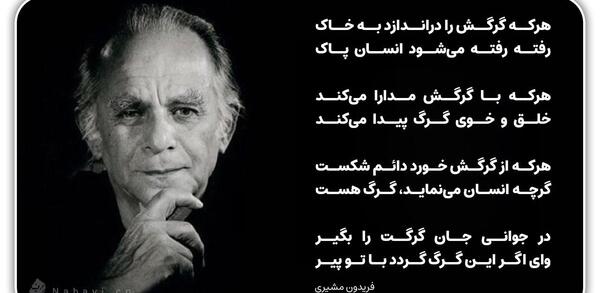 عکس نوشته شعر گرگ فریدون مشیری