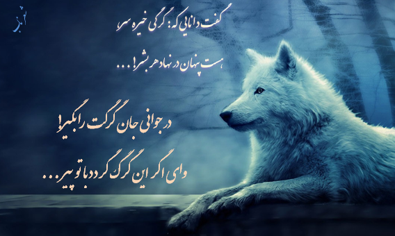 عکس نوشته شعر گرگ فریدون مشیری