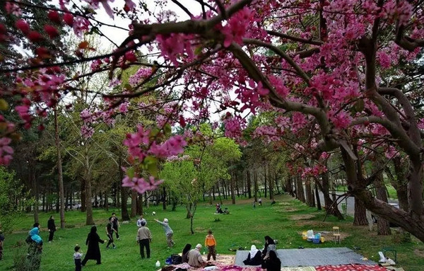 عکس سیزده بدر خنده دار